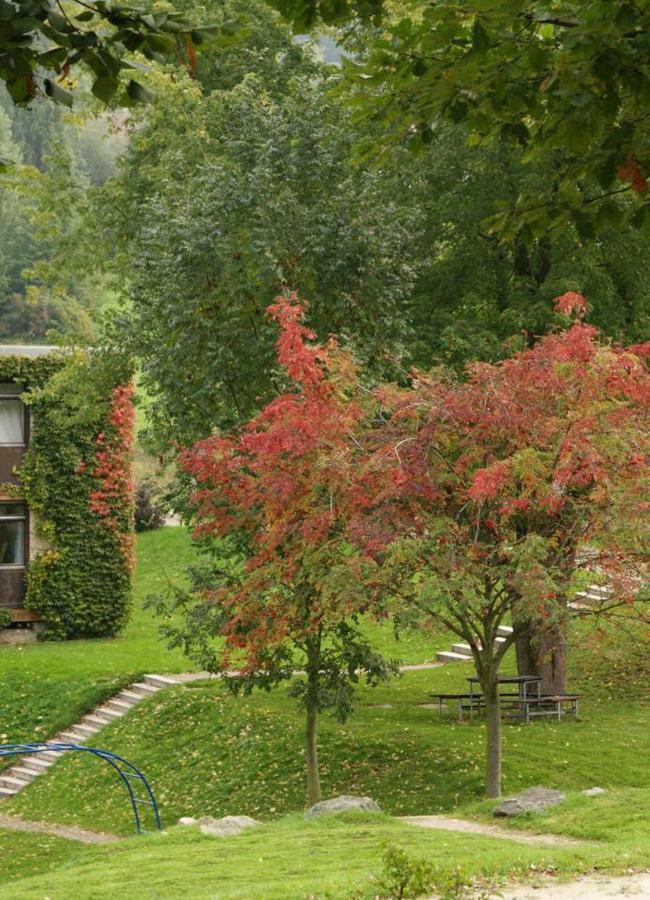 Waldblick Appartement Ober-Hambach Екстериор снимка